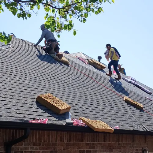 Roof needs attention